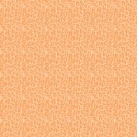 dsStella-DPJ3031 Apricot
